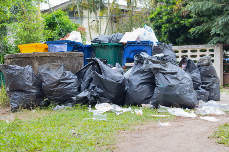 Questions to Ask Before Hiring a Commercial Rubbish Removal Gold Coast