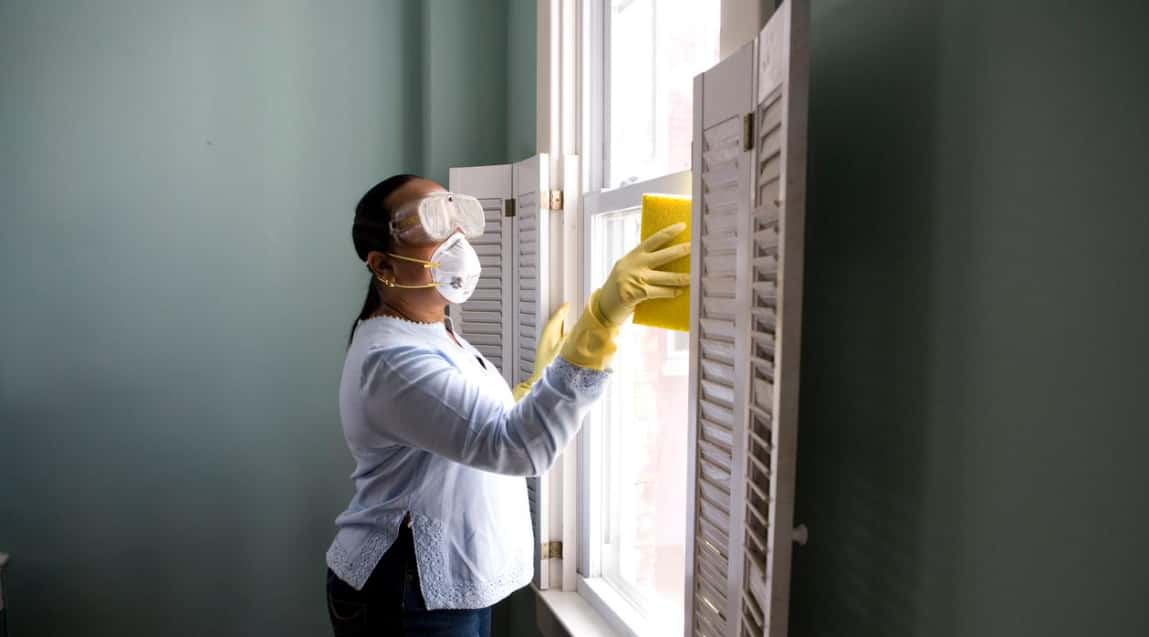 Mould Removal in Gold Coast